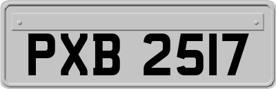 PXB2517