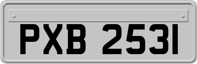 PXB2531