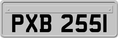 PXB2551