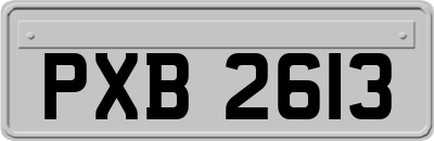 PXB2613