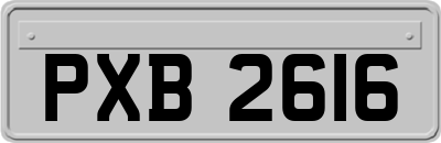 PXB2616