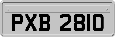 PXB2810