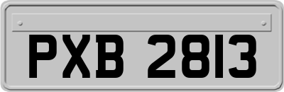 PXB2813