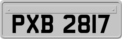 PXB2817