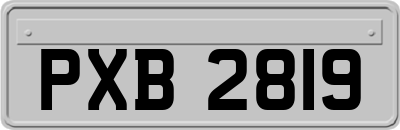 PXB2819