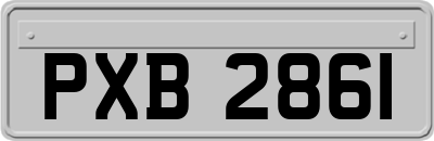 PXB2861