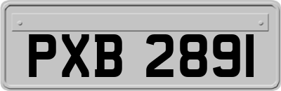 PXB2891