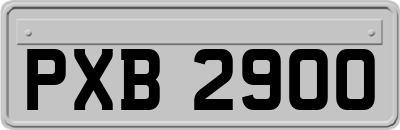 PXB2900