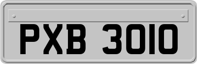 PXB3010