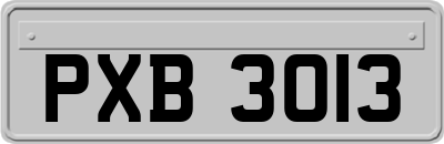 PXB3013