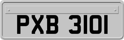 PXB3101