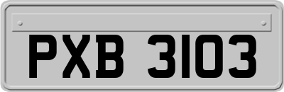 PXB3103