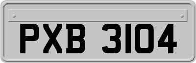 PXB3104