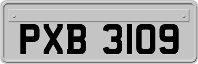 PXB3109