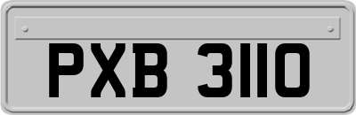 PXB3110