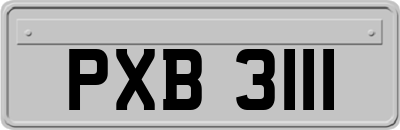 PXB3111