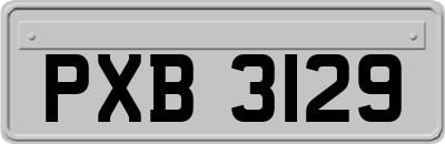 PXB3129