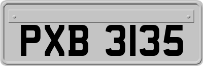 PXB3135