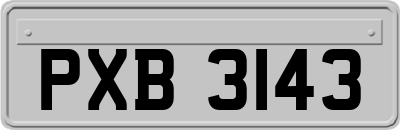 PXB3143