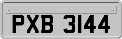 PXB3144