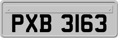 PXB3163