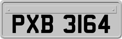 PXB3164