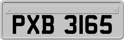 PXB3165