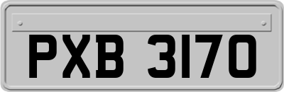 PXB3170