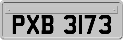 PXB3173