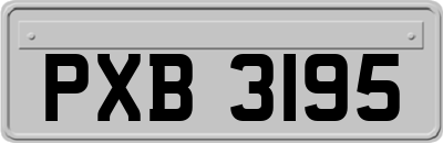 PXB3195