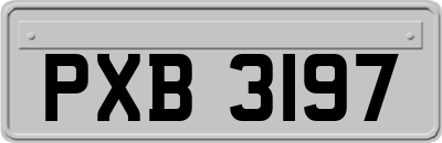 PXB3197