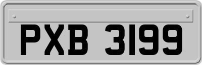 PXB3199