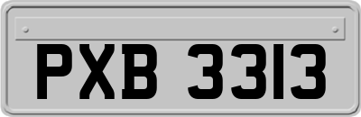 PXB3313