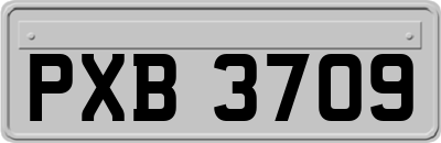 PXB3709