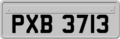 PXB3713