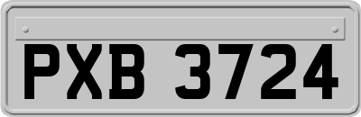 PXB3724