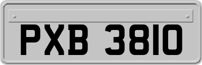 PXB3810