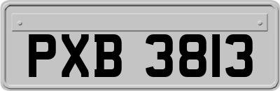 PXB3813