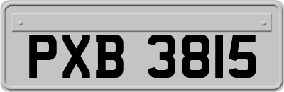 PXB3815