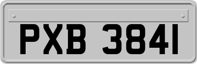 PXB3841