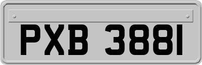 PXB3881