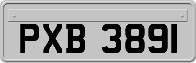 PXB3891