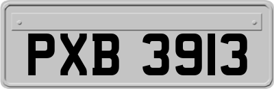 PXB3913