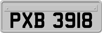 PXB3918