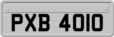 PXB4010