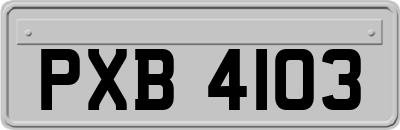 PXB4103