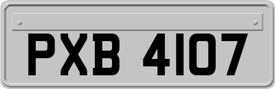 PXB4107