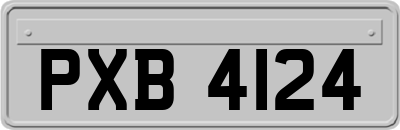 PXB4124