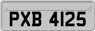 PXB4125