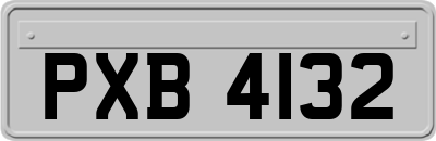 PXB4132